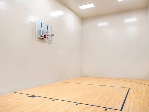 A basketball court with a hoop on the wall.