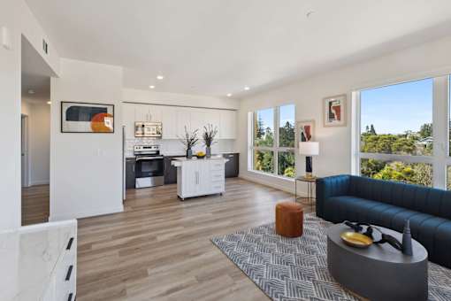 Living Room and Kitchen