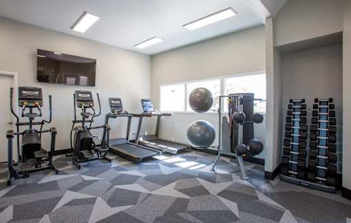 A gym with a variety of equipment including weights and a treadmill.