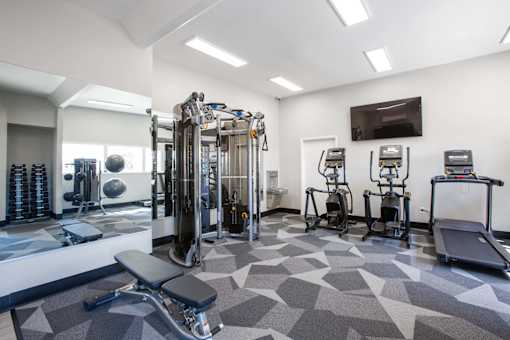 A gym with a variety of equipment including a treadmill, weights, and a bench press.