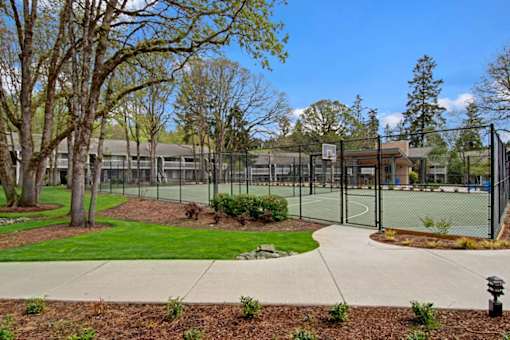 sport court