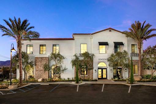 A building with the word "Leasing" on it is surrounded by palm trees.
