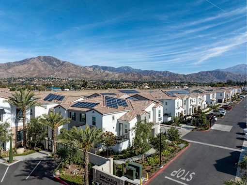 A street view of a residential area with houses and palm trees.