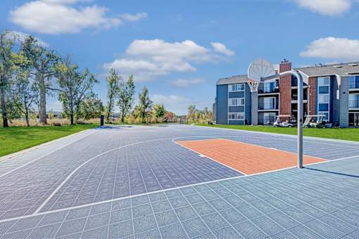 A basketball court is located in the middle of a grassy area.