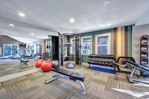 A gym with a variety of equipment including a rowing machine, a bench, and a barbell.