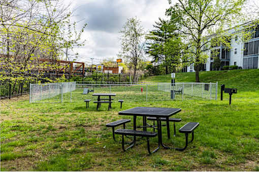 Picnic tables and benches are set up in a fenced-in area.