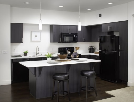 Updated Kitchen With Black Appliances at Palomar Station, San Marcos