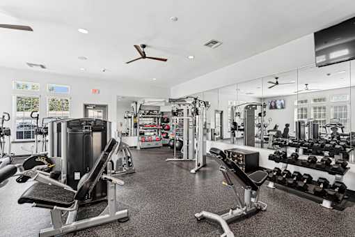 A gym with a variety of equipment including a weight bench, a squat rack, and a treadmill.