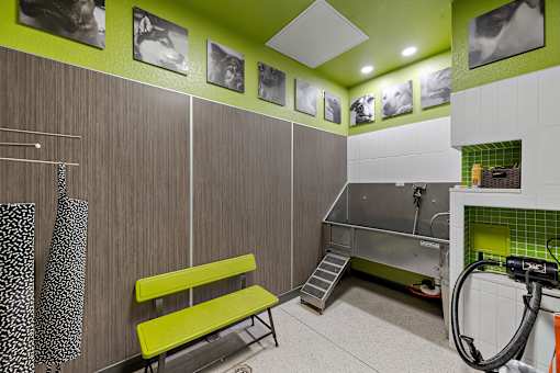 A room with a green bench and pictures on the wall.