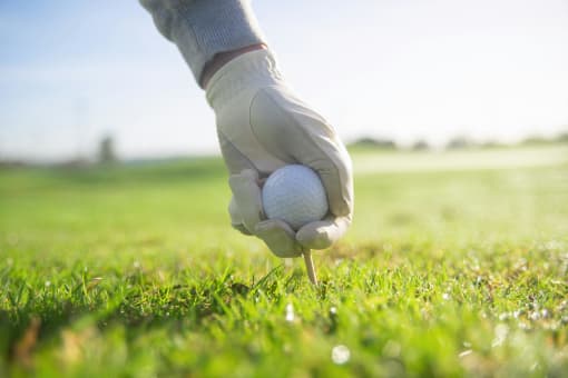 a person holding a golf ball on a tee