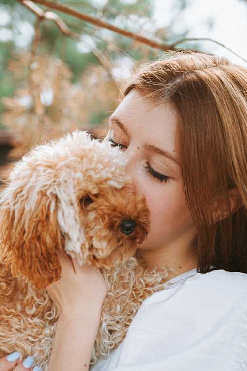 A woman holding a brown and white dog.