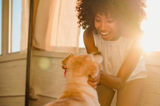 A woman is petting a dog in a sunlit room.
