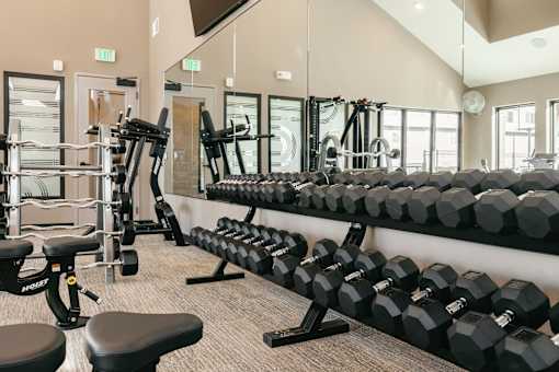 A gym with a variety of equipment including dumbbells, weight machines, and a bench press.