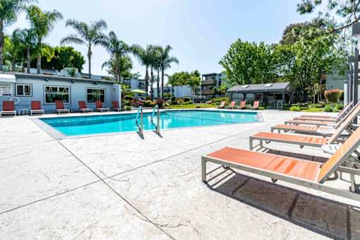 A swimming pool surrounded by sun loungers and palm trees.
