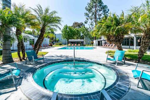 A round pool with a waterfall in the middle surrounded by palm trees.
