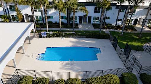 A swimming pool surrounded by a black fence and palm trees.