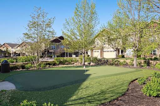 A green lawn in front of a row of houses.