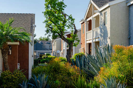 A row of houses with a green tree in the middle.