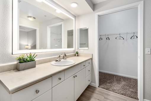 A bathroom with a white sink and a large mirror.
