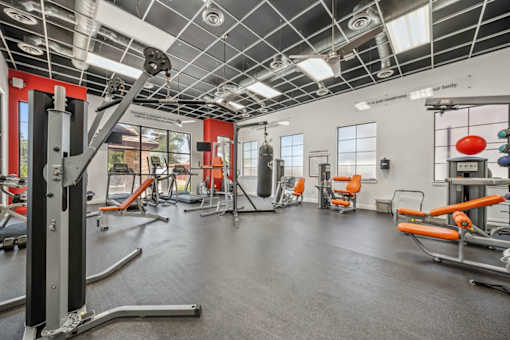 A gym with a variety of equipment including a squat rack, bench press, and a rowing machine.