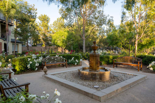 garden courtyard