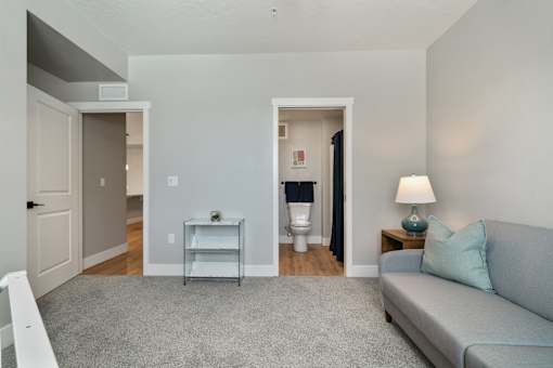 A living room with a grey couch and a grey rug.