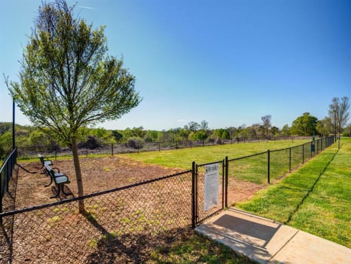 Dog Park