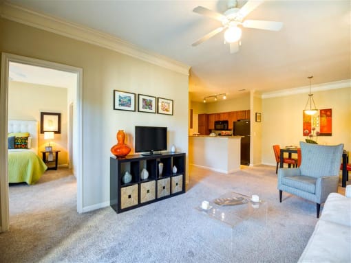 Apartment Living Area