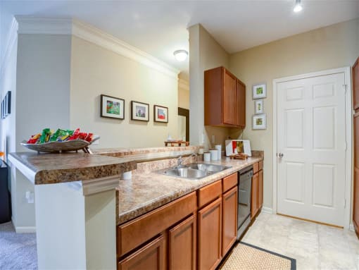 Apartment Entry and Kitchen