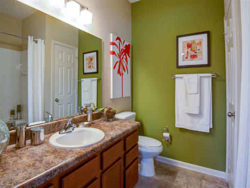 Apartment Bathroom