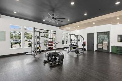 A gym with a variety of equipment including a treadmill, a stationary bike, a rowing machine, and a weight bench.