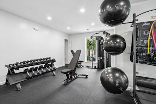 A gym with a bench, weights, and exercise balls.
