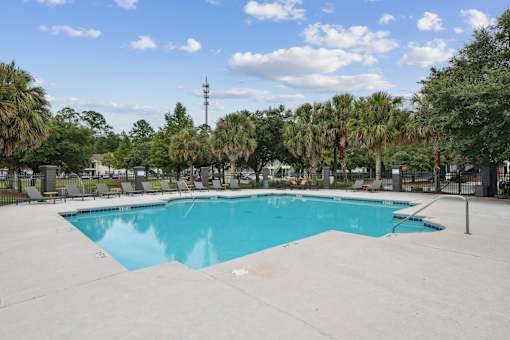 o A large swimming pool surrounded by palm trees and lounge chairs.