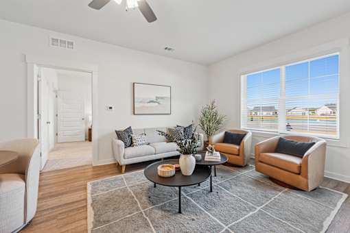 A living room with a grey rug and a white couch.