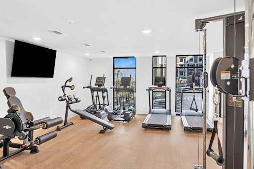 A gym with a variety of equipment including treadmills, weights, and a television.
