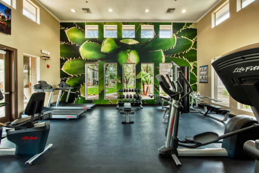 Fitness Center at Stonebridge Ranch Apartments, Arizona, 85225