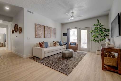 A living room with a couch, a rug, a ceiling fan, and a plant.