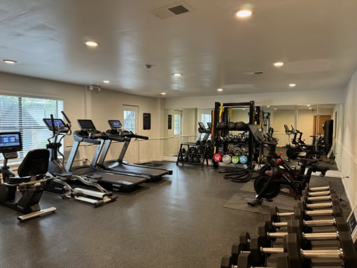 a gym with cardio equipment and weights on the floor