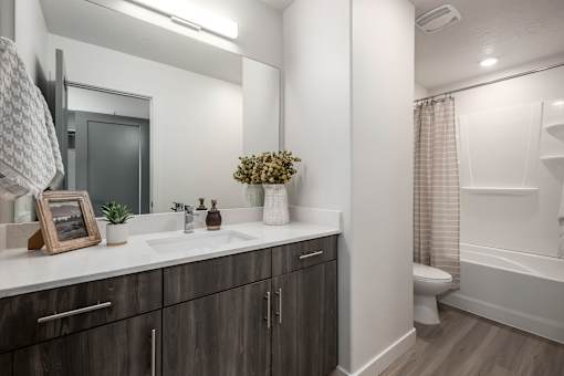 A bathroom with a white countertop and a mirror above it.