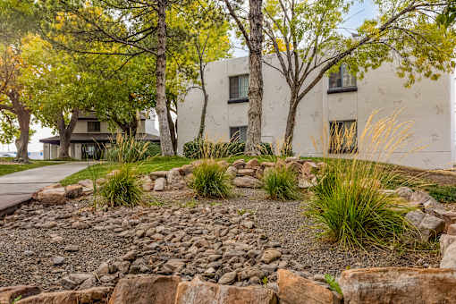 a yard with rocks and trees in front of a building
