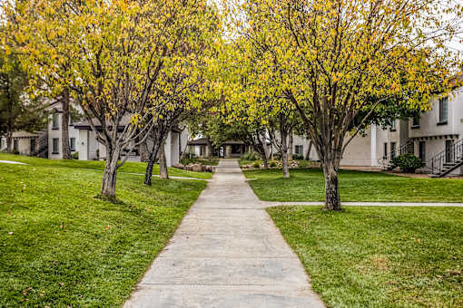 a tree lined sidewalk in front of some houses