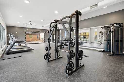 A gym with a treadmill, weights, and a squat rack.
