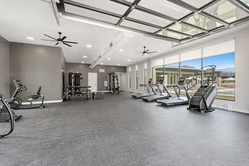 A spacious gym with treadmills, elliptical machines, and a fan.