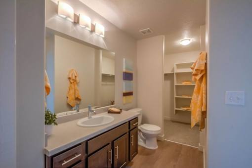 Model Master bathroom