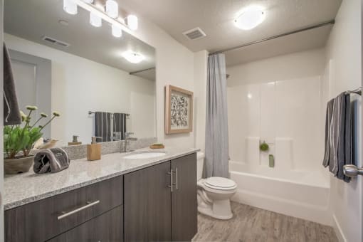 model bathroom with soaking tub and grey cabinetry