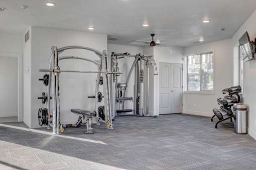 Gym weights