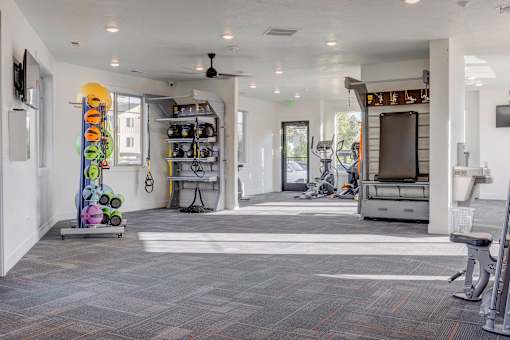 Full Gym