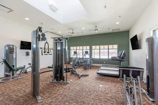 A gym with a variety of equipment including a treadmill, weights, and a television.