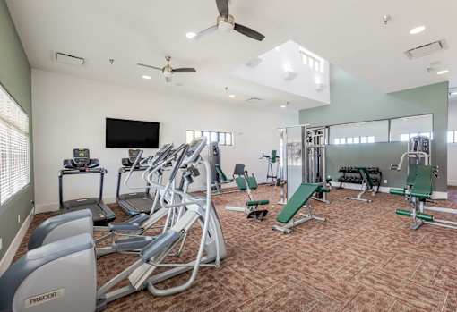 A gym with treadmills, exercise bikes, and other equipment.