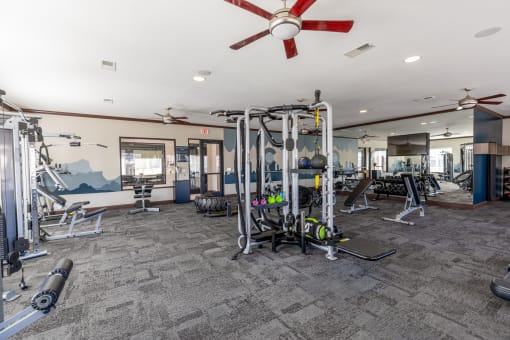 a gym with weights and cardio machines and a ceiling fan